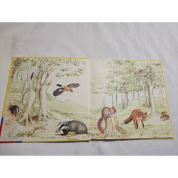 Lets Look At Animals Play & Learn 4-7 Years by Karen O'Callaghan - Picture 7 of 10